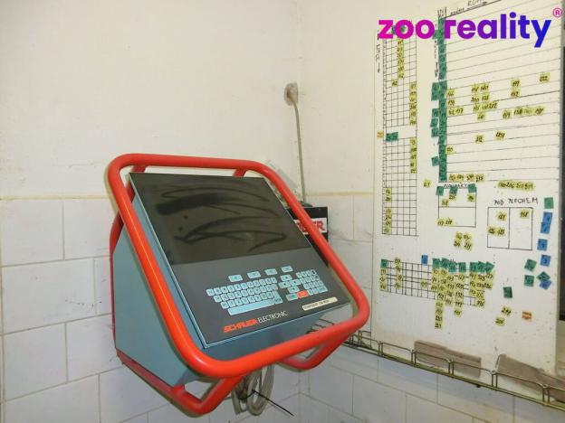 Prodej zemědělského objektu, Majdalena, 2000 m2