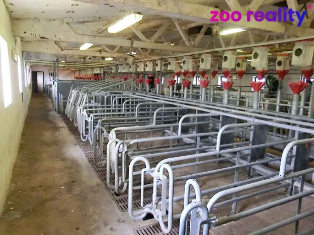 Prodej zemědělského objektu, Majdalena, 2000 m2