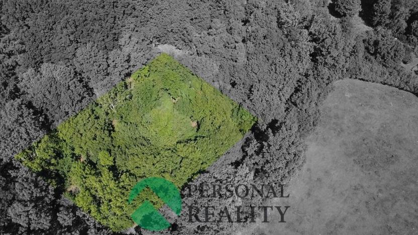 Prodej pozemku, Malečov - Čeřeniště, 3543 m2