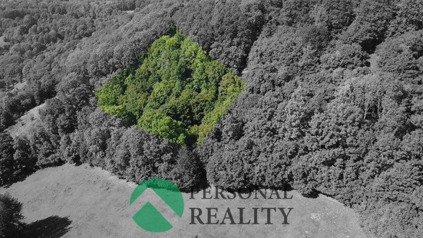 Prodej pozemku, Malečov - Čeřeniště, 3543 m2