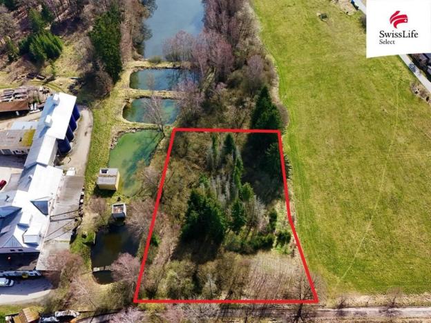 Prodej lesa, Rodvínov, 4442 m2