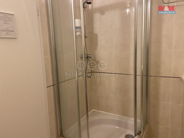 Pronájem bytu 4+kk, Plzeň - Vnitřní Město, Zbrojnická, 110 m2