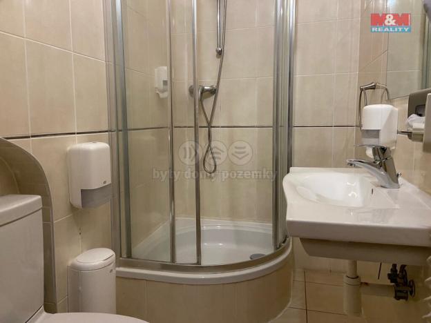 Pronájem bytu 4+kk, Plzeň - Vnitřní Město, Zbrojnická, 110 m2