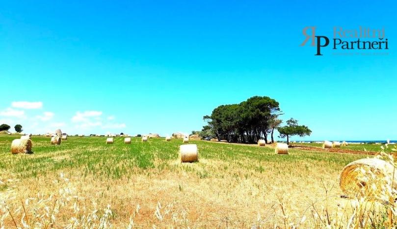 Prodej bytu 2+kk, Conversano,Itálie, 70 m2