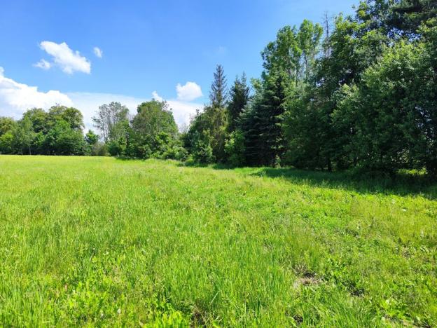 Prodej pozemku pro bydlení, Bílá Lhota - Řimice, 1655 m2