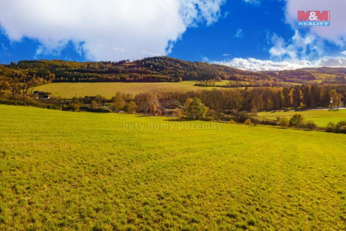 Prodej zemědělské půdy, Kolinec, 6484 m2