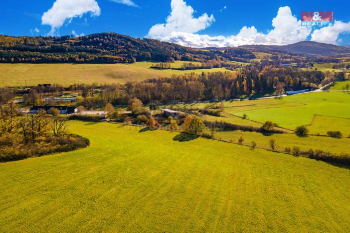 Prodej zemědělské půdy, Kolinec, 6484 m2