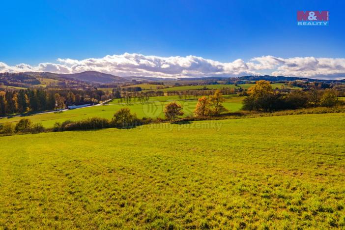 Prodej zemědělské půdy, Kolinec, 6484 m2