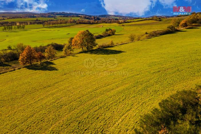 Prodej zemědělské půdy, Kolinec, 6484 m2
