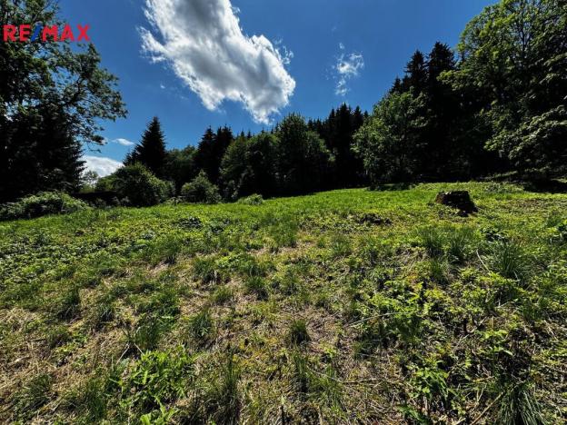 Prodej pozemku pro bydlení, Lanškroun, 1956 m2