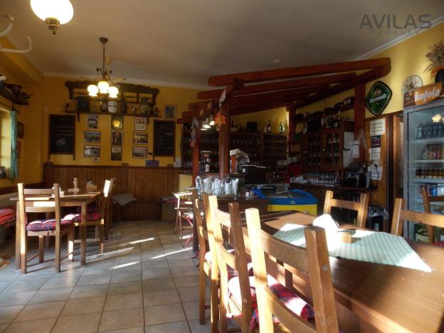 Prodej restaurace, Týnec nad Sázavou - Pecerady, 500 m2