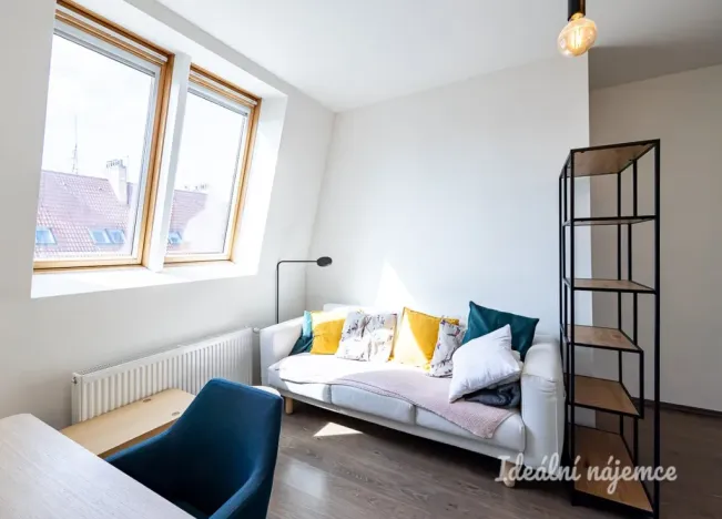 Pronájem bytu 2+kk, Praha - Žižkov, Biskupcova, 44 m2