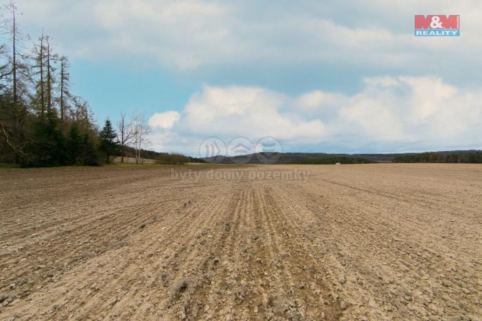 Prodej zemědělské půdy, Předenice, 5839 m2