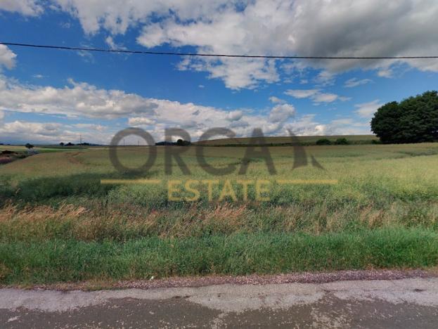 Prodej trvalého travního porostu, Hajnice, 10517 m2