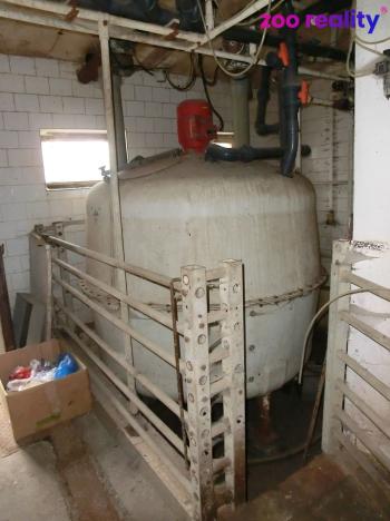 Prodej obchodního prostoru, Majdalena, 2000 m2