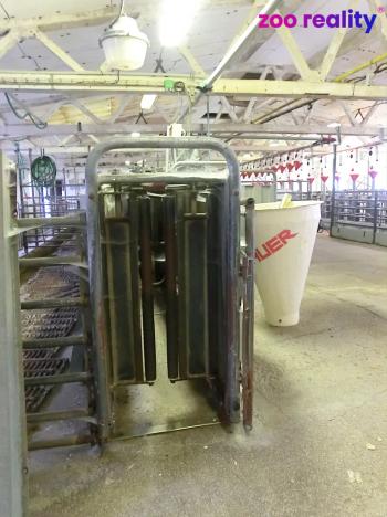 Prodej obchodního prostoru, Majdalena, 2000 m2