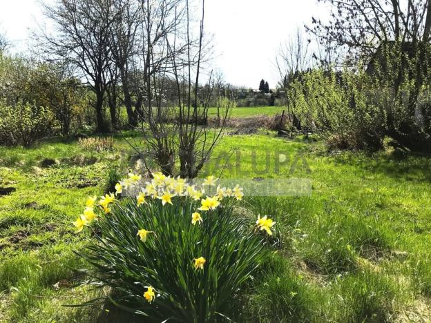 Prodej rodinného domu, Budislav, 80 m2