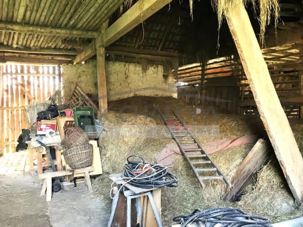 Prodej rodinného domu, Budislav, 80 m2