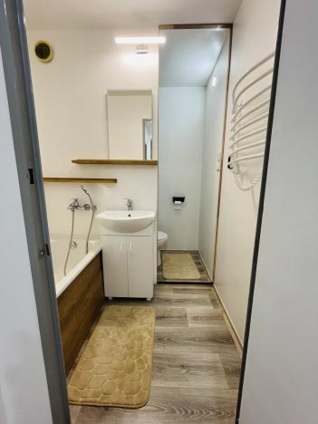 Pronájem bytu 2+1, Ostrava - Dubina, Jana Maluchy, 44 m2