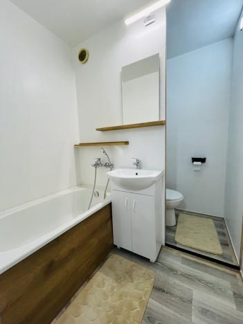 Pronájem bytu 2+1, Ostrava - Dubina, Jana Maluchy, 44 m2