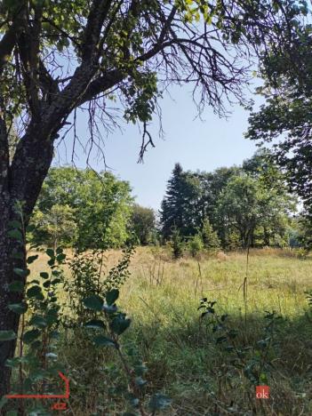 Prodej zahrady, Boleboř - Orasín, 2433 m2