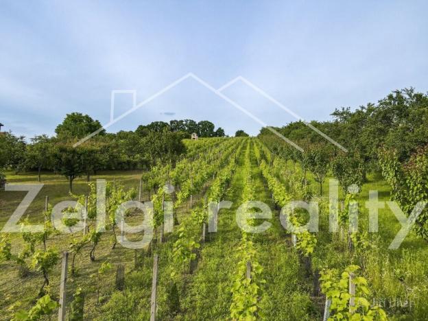 Prodej sadu/vinice, Svatobořice-Mistřín - Mistřín, 3501 m2