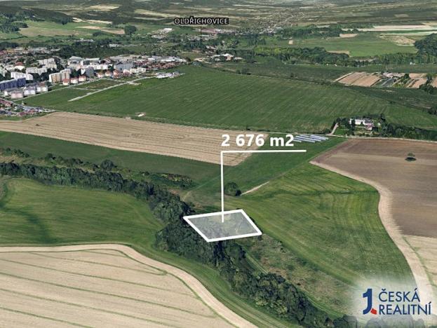 Prodej podílu zemědělské půdy, Ústí nad Orlicí, 1338 m2