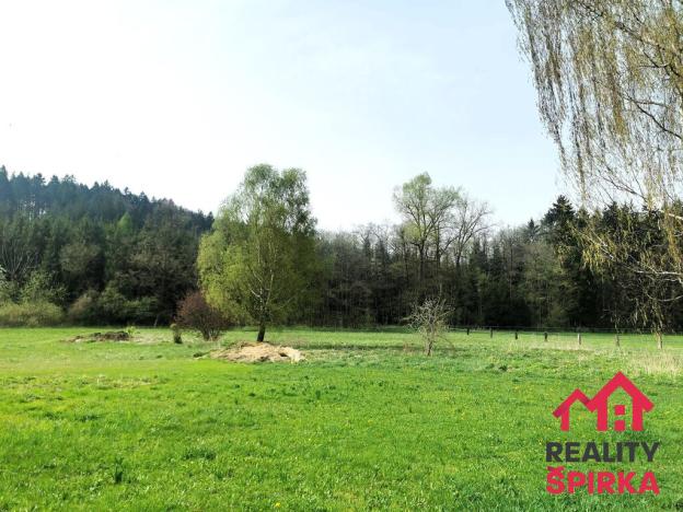 Prodej trvalého travního porostu, Dlouhoňovice, 4698 m2