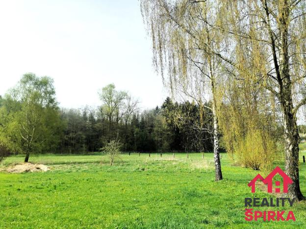 Prodej trvalého travního porostu, Dlouhoňovice, 4698 m2