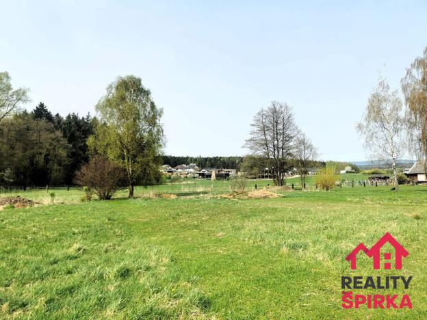 Prodej trvalého travního porostu, Dlouhoňovice, 4698 m2