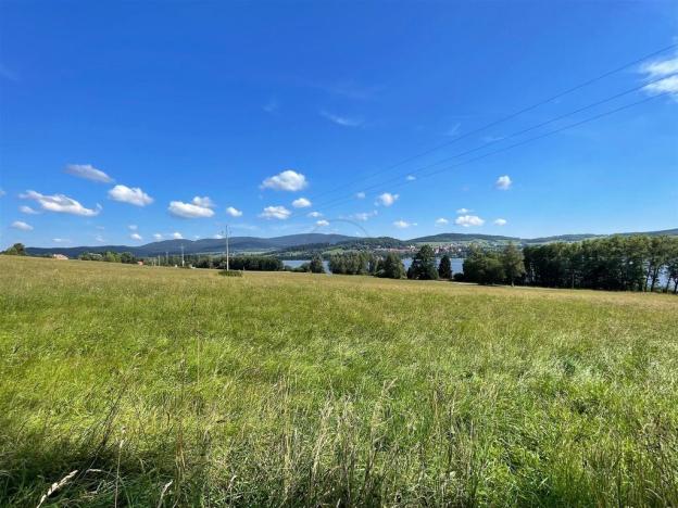 Prodej pozemku, Horní Planá, 123148 m2