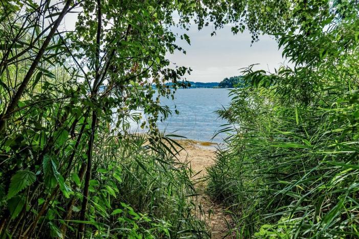 Prodej pozemku pro bydlení, Horní Planá, 1000 m2