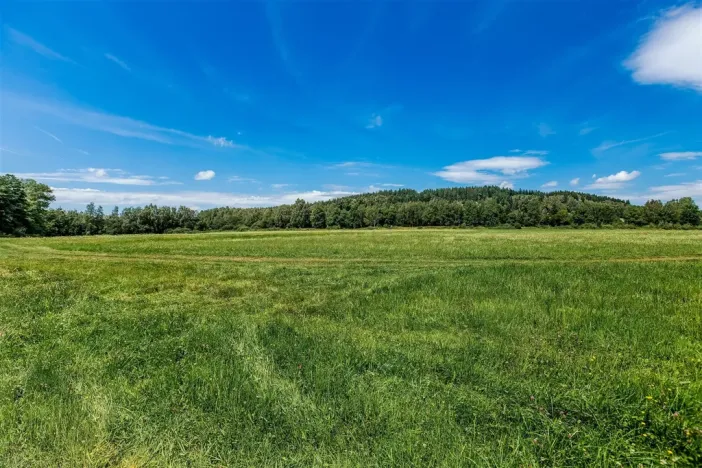 Prodej pozemku pro bydlení, Horní Planá, 1000 m2