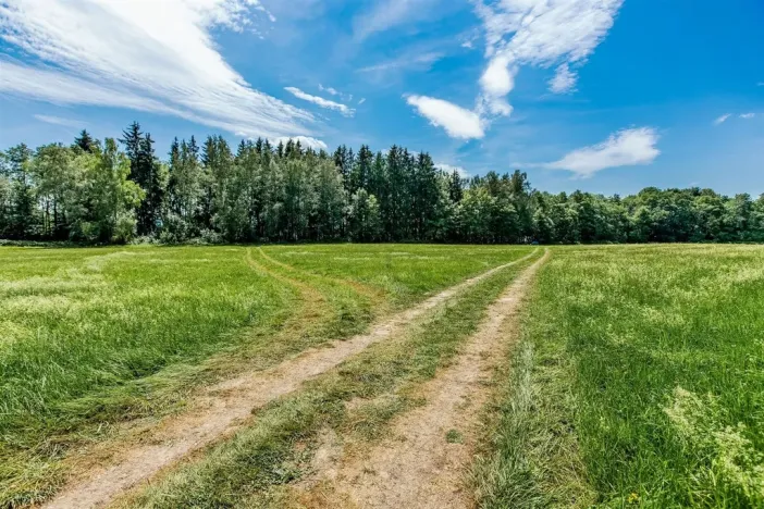 Prodej pozemku pro bydlení, Horní Planá, 1000 m2