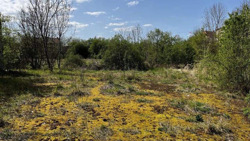 Prodej pozemku pro bydlení, Podbořany - Sýrovice, 8775 m2