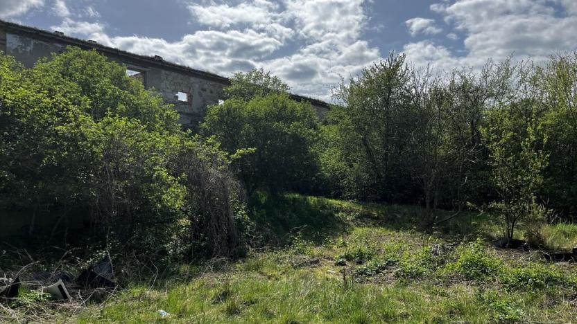 Prodej pozemku pro bydlení, Podbořany - Sýrovice, 8775 m2