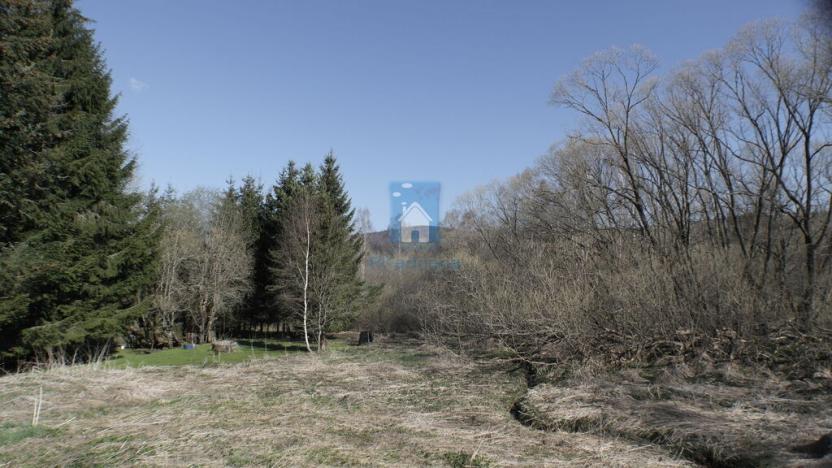 Prodej pozemku pro bydlení, Horní Vltavice, 8046 m2