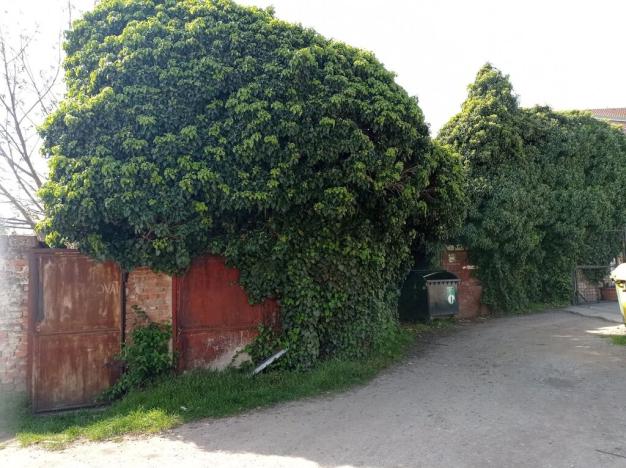 Prodej rodinného domu, Mikulov, Vídeňská, 490 m2