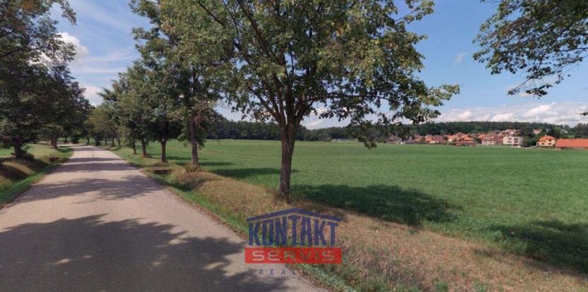 Prodej zemědělské půdy, Litvínovice, 8823 m2