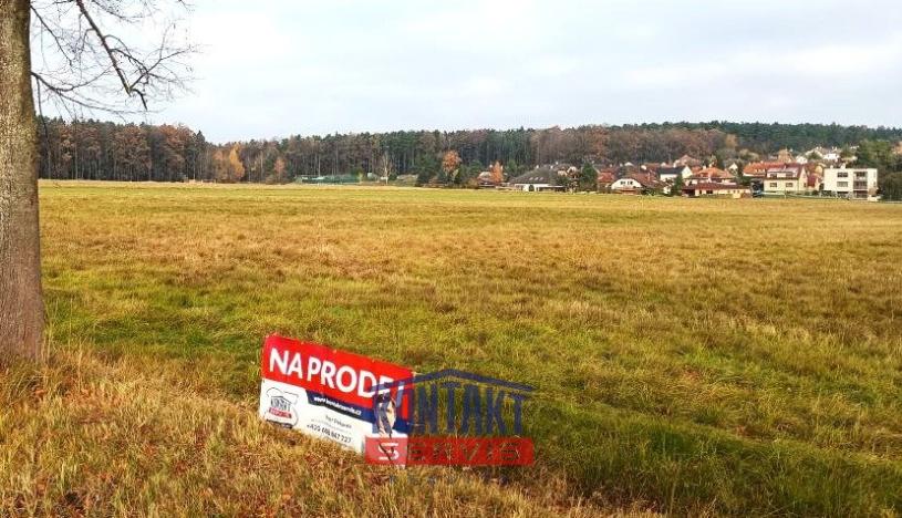 Prodej zemědělské půdy, Litvínovice, 8823 m2