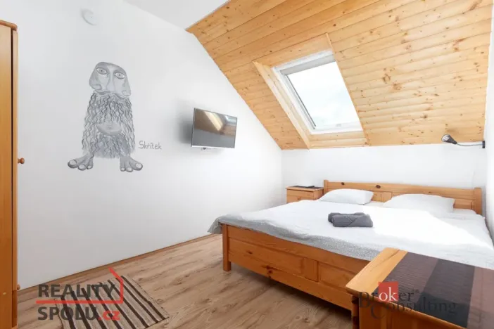 Prodej ubytování, Rudná pod Pradědem - Stará Rudná, 261 m2