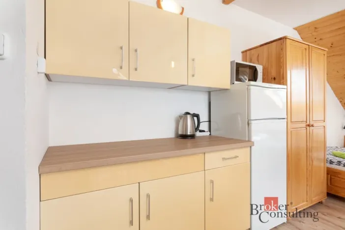 Prodej ubytování, Rudná pod Pradědem - Stará Rudná, 261 m2