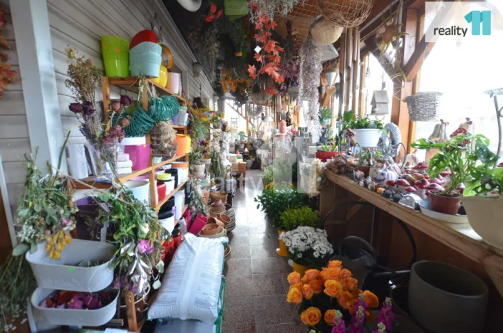 Pronájem obchodního prostoru, Ledeč nad Sázavou, Mostecká, 182 m2