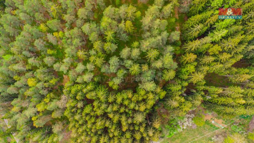 Prodej pozemku pro bydlení, Kašperské Hory - Lídlovy Dvory, 5684 m2
