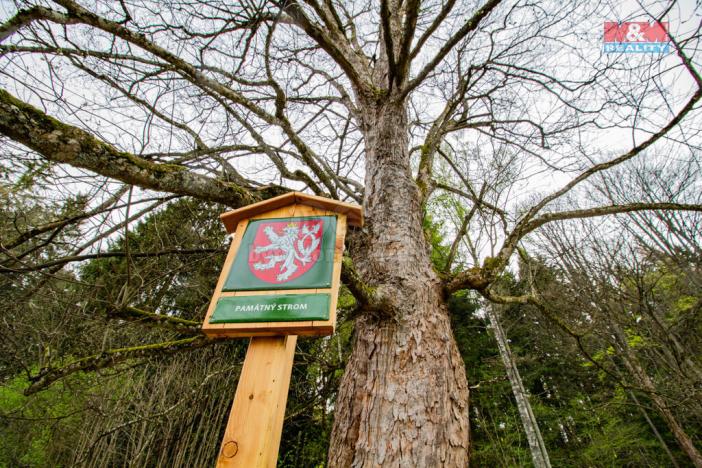 Prodej pozemku pro bydlení, Kašperské Hory - Lídlovy Dvory, 5684 m2