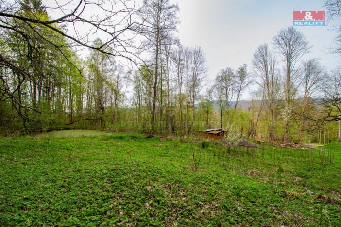 Prodej pozemku pro bydlení, Kašperské Hory - Lídlovy Dvory, 5684 m2