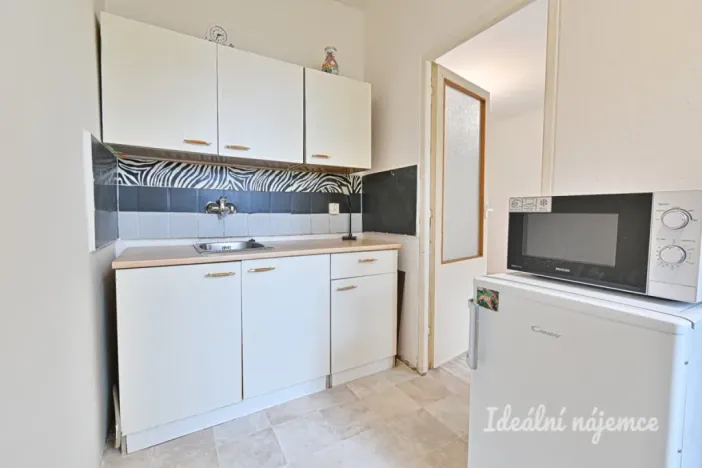 Pronájem bytu 1+1, Brno - Lesná, Halasovo náměstí, 29 m2