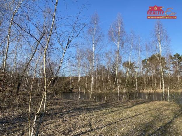 Prodej pozemku pro komerční výstavbu, Stará Voda, 16182 m2