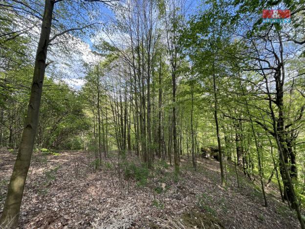 Prodej zahrady, Chrastava - Andělská Hora, 2545 m2