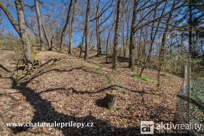 Prodej chaty, Chyňava - Malé Přílepy, 40 m2